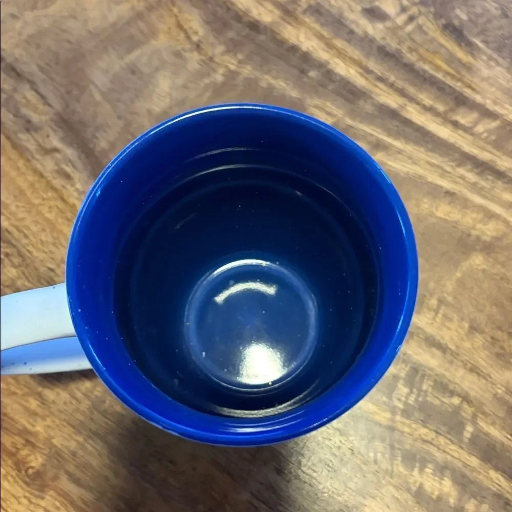 The Memory Company Florida Gators mug